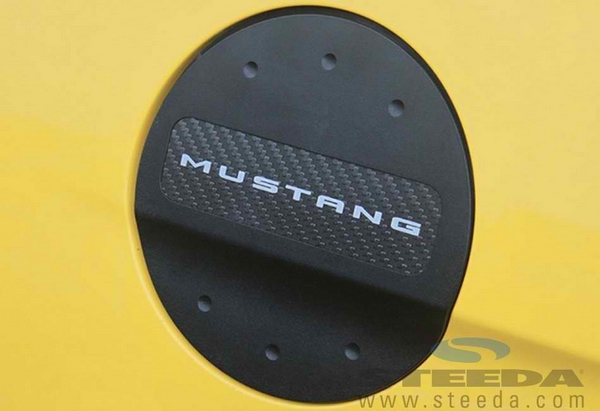 Silver Logo Fuel Door - Black